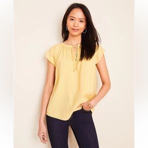 Ann Taylor NWT Double Flutter Sleeve Tie Neck Top